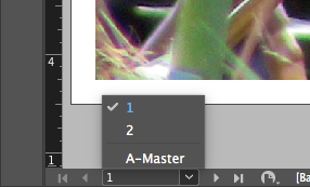 Page Popup