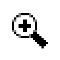 Zoom Cursor