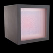 Transparency Study: Silk Fire