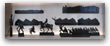 Le Chat Noir 05