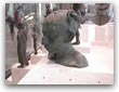 Musee Louvre 37